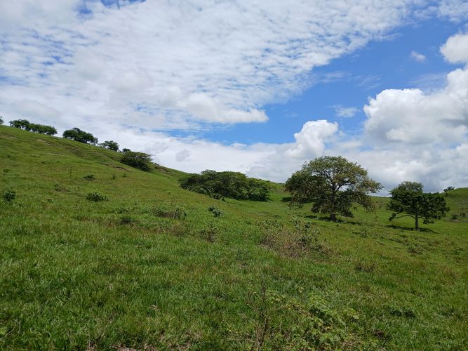 Finca en  Venta en Galicia, Bugalagrande - Miniatura 14