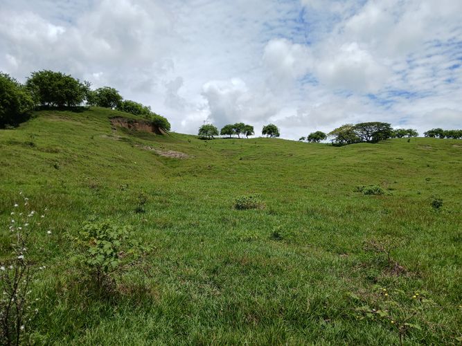 Finca en  Venta en Galicia, Bugalagrande - Miniatura 15