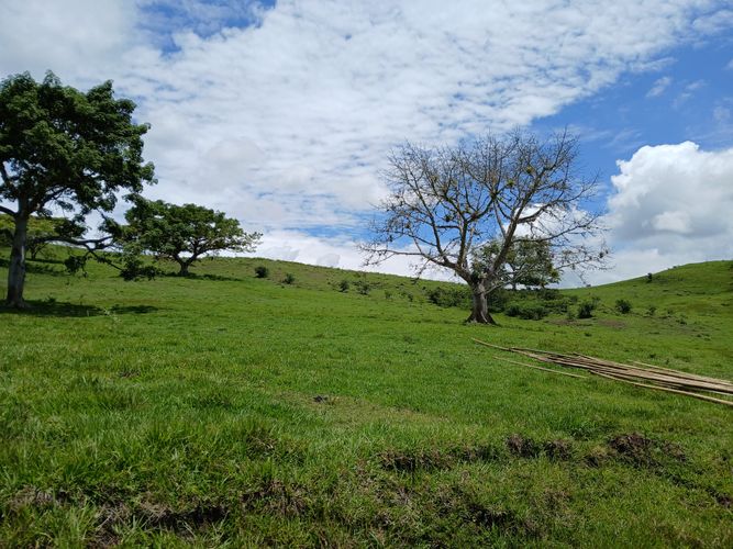 Finca en  Venta en Galicia, Bugalagrande - Miniatura 16