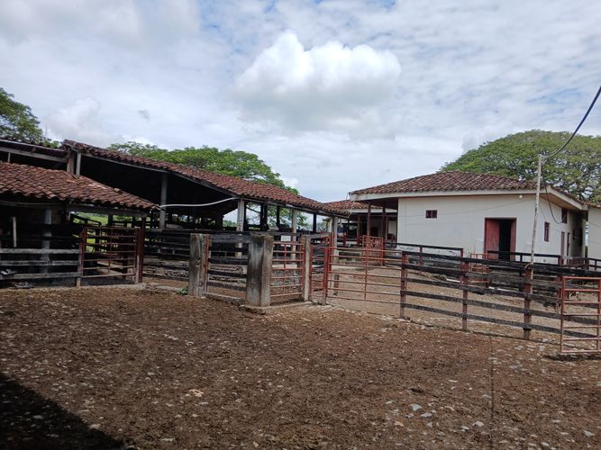 Finca en  Venta en Galicia, Bugalagrande - Miniatura 17