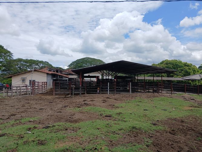 Finca en  Venta en Galicia, Bugalagrande - Miniatura 18