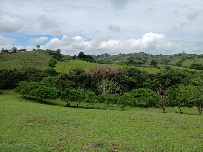 Finca en  Venta en Galicia, Bugalagrande - Miniatura 23