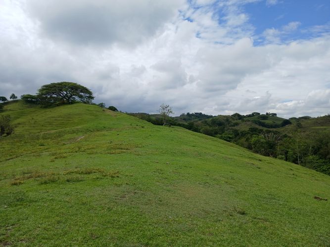 Finca en  Venta en Galicia, Bugalagrande - Miniatura 24