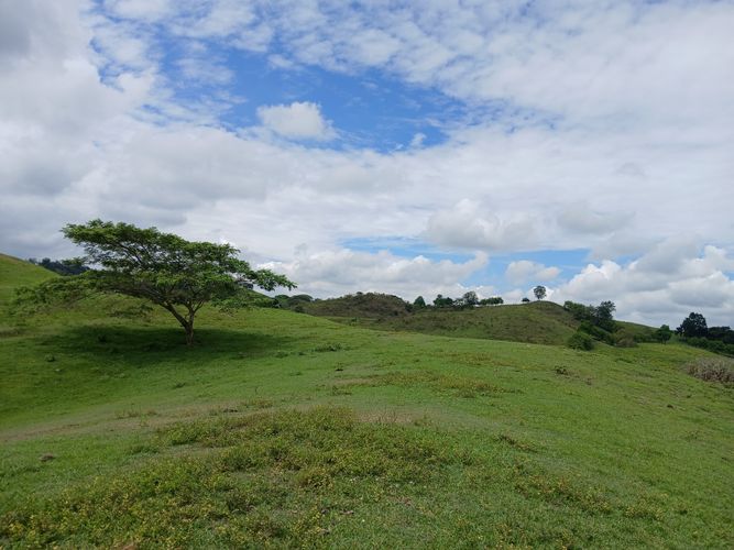 Finca en  Venta en Galicia, Bugalagrande - Miniatura 28