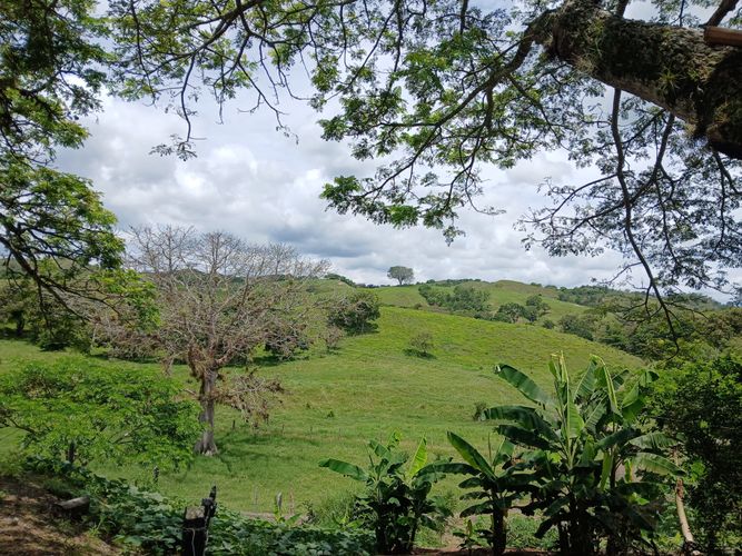 Finca en  Venta en Galicia, Bugalagrande - Miniatura 29