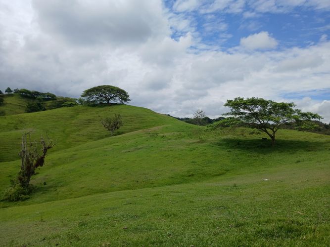 Finca en  Venta en Galicia, Bugalagrande - Miniatura 30