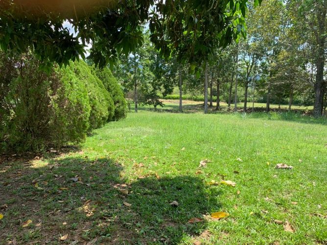 Finca en  Venta en Agua de dios - Miniatura 4