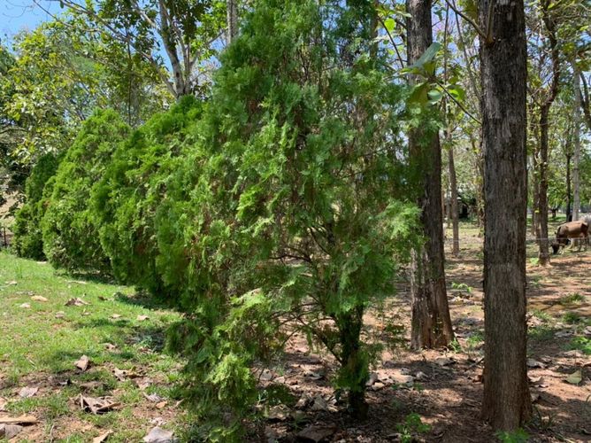 Finca en  Venta en Agua de dios - Miniatura 6