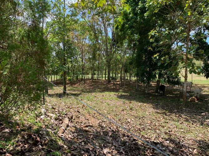 Finca en  Venta en Agua de dios - Miniatura 7