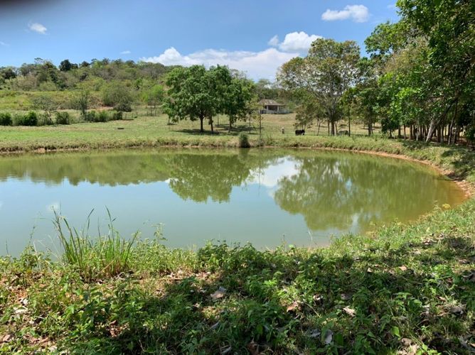 Finca en  Venta en Agua de dios - Miniatura 8