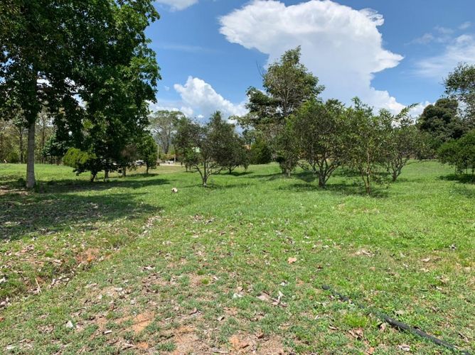 Finca en  Venta en Agua de dios - Miniatura 9