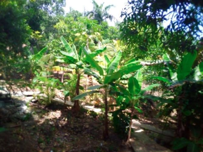 Finca en arriendo en Bellavista, Turbaco - Miniatura 20