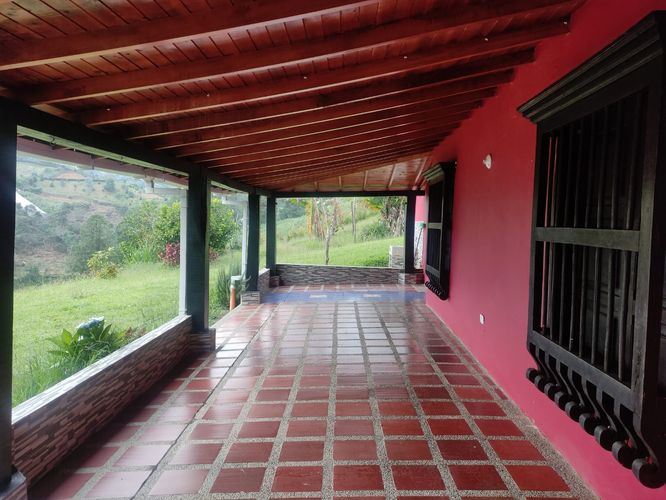 Finca en  Arriendo en Chaparral - Miniatura 13