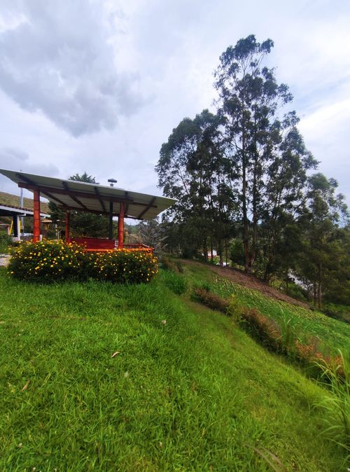Finca en  Arriendo en Chaparral - Miniatura 15