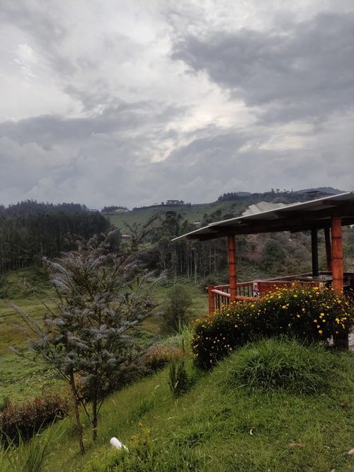 Finca en  Arriendo en Chaparral - Miniatura 16