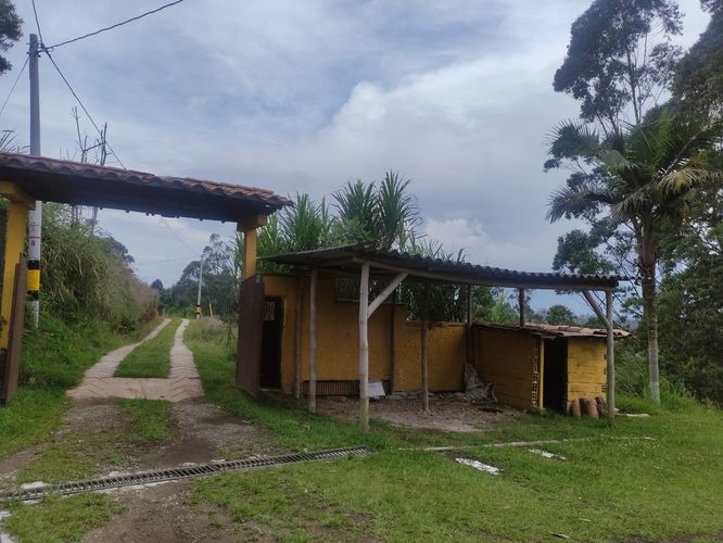 Finca en  Arriendo en Chaparral - Miniatura 19