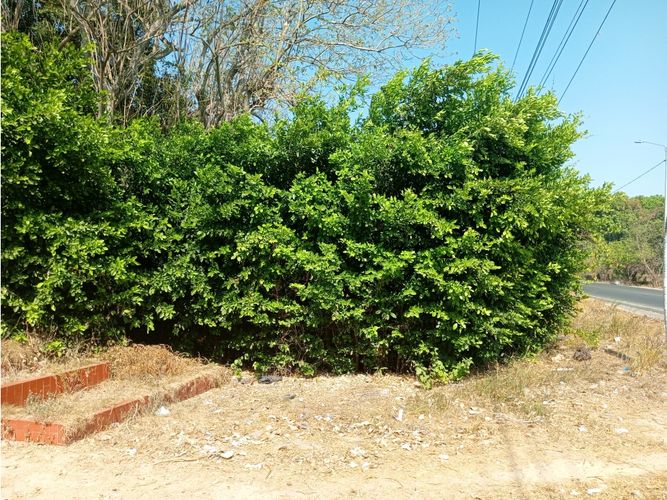 Finca en  Arriendo en Metropolitana, Barranquilla - Miniatura 23