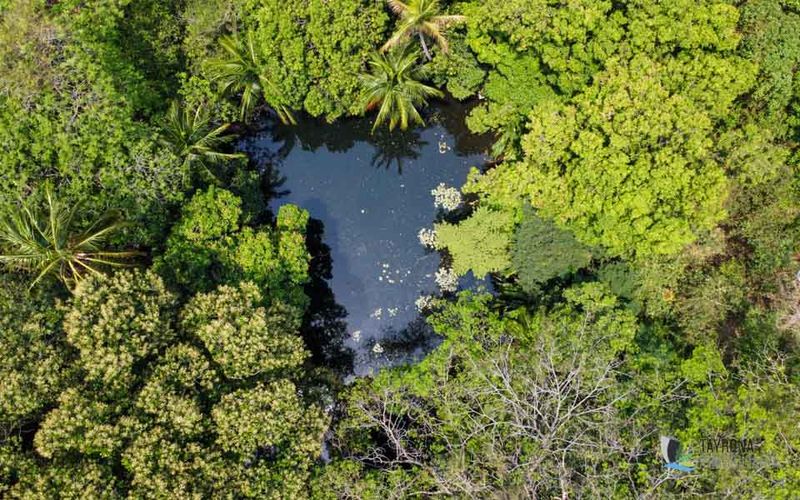 Finca en  Venta en Bonda, Santa marta - Miniatura 11