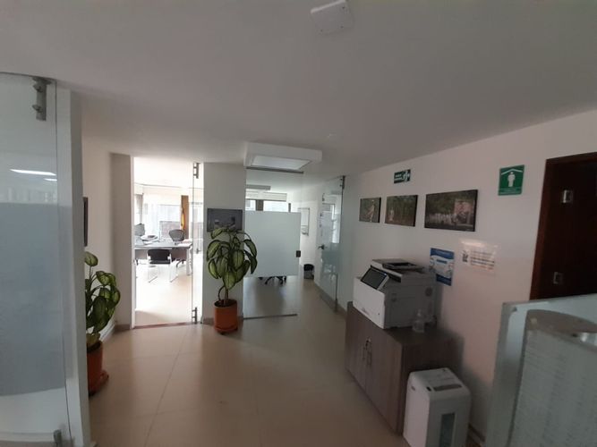 Oficina en  Arriendo en Quinta camacho, Bogotá - Miniatura 5