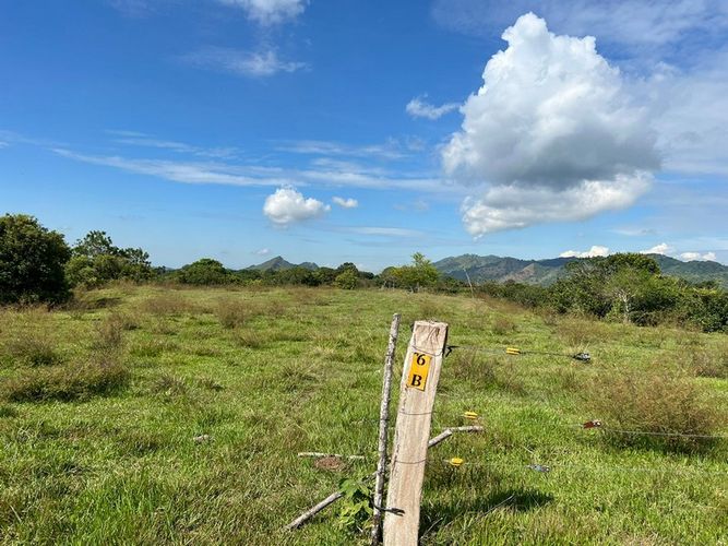 Finca en  Venta en San luis - Imagen 1