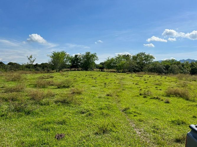 Finca en  Venta en San luis - Miniatura 3