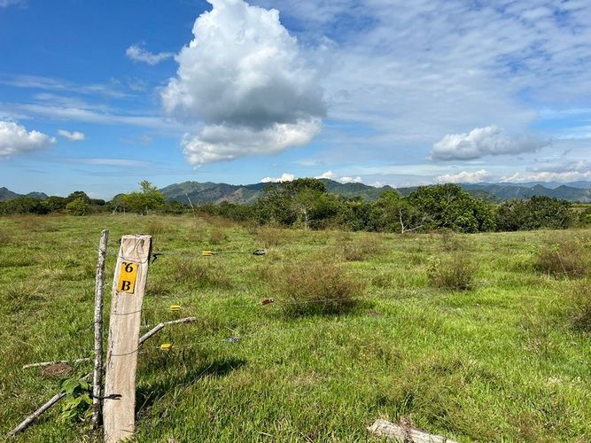 Finca en  Venta en San luis - Miniatura 4