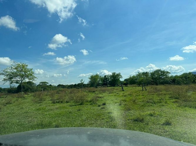Finca en  Venta en San luis - Miniatura 5