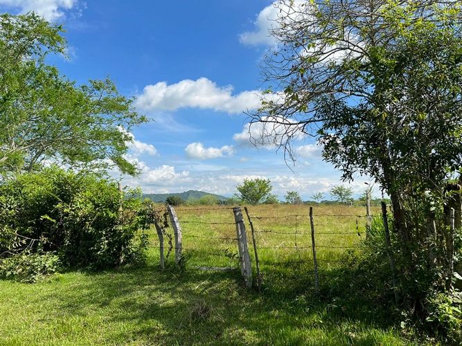 Finca en  Venta en San luis - Miniatura 7