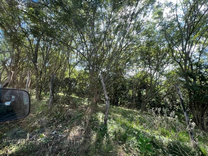Finca en  Venta en San luis - Miniatura 8