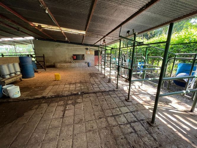 Finca en  Venta en San luis - Miniatura 10