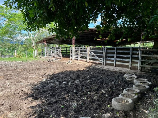 Finca en  Venta en San luis - Miniatura 11