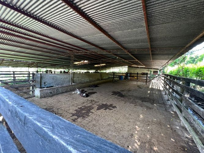 Finca en  Venta en San luis - Miniatura 12