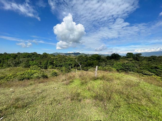 Finca en  Venta en San luis - Miniatura 14