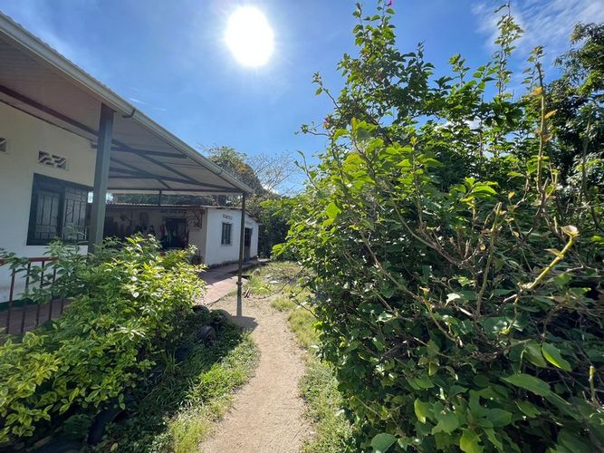Finca en  Venta en San luis - Miniatura 20