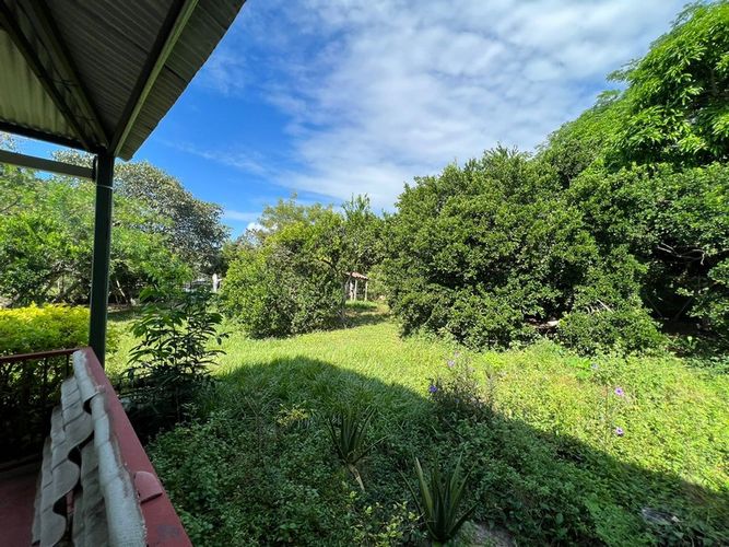 Finca en  Venta en San luis - Miniatura 21