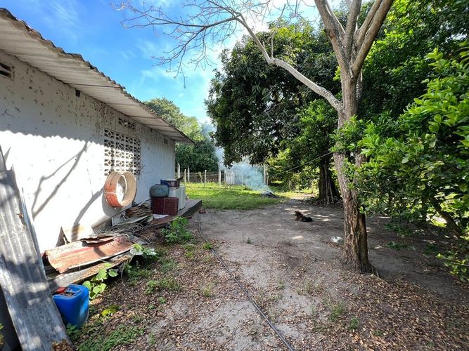 Finca en  Venta en San luis - Miniatura 23