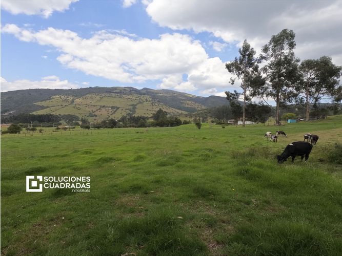 Finca en  Venta en Sesquilé - Miniatura 4