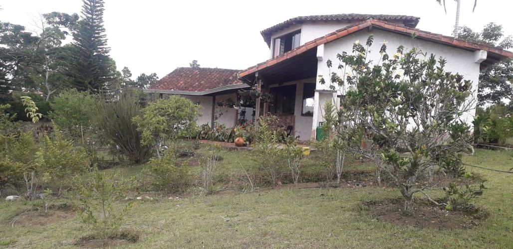 Finca en  Venta en Santander, Los santos - Miniatura 4