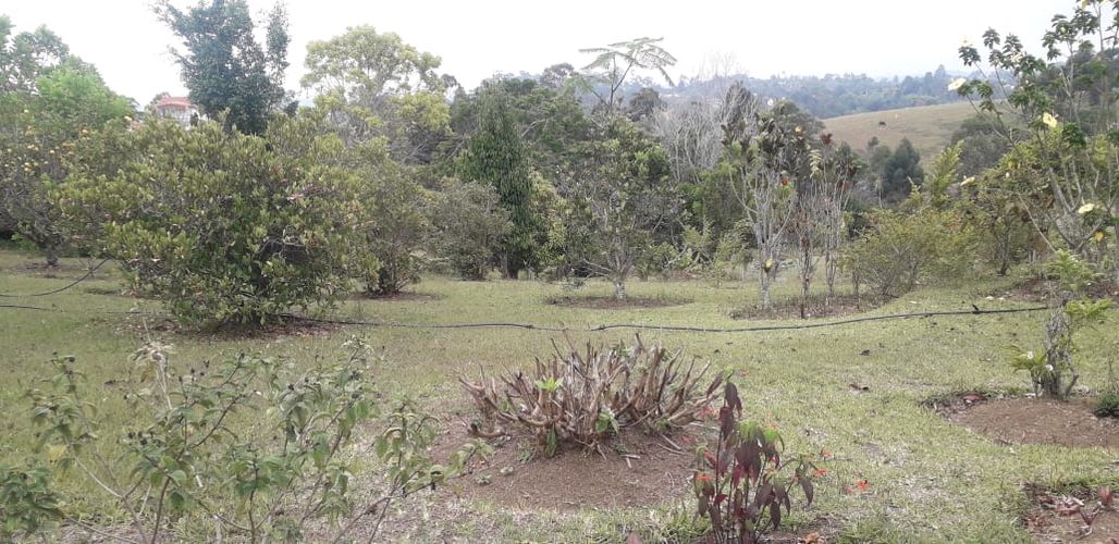 Finca en  Venta en Santander, Los santos - Miniatura 12