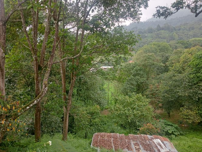 Finca en  Venta en Aguadita, Fusagasugá - Miniatura 3