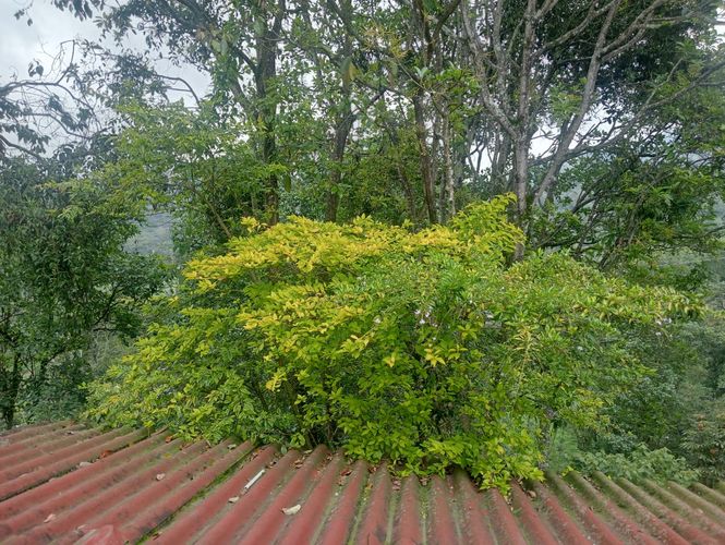 Finca en  Venta en Aguadita, Fusagasugá - Miniatura 6