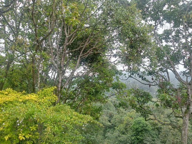 Finca en  Venta en Aguadita, Fusagasugá - Miniatura 8