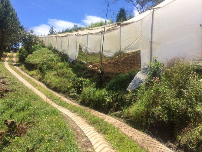 Finca en  Venta en Cuchillas de san jose, Rionegro - Miniatura 14
