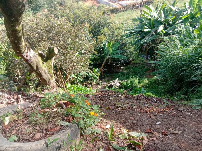Finca en  Venta en La laja, Rionegro - Miniatura 11