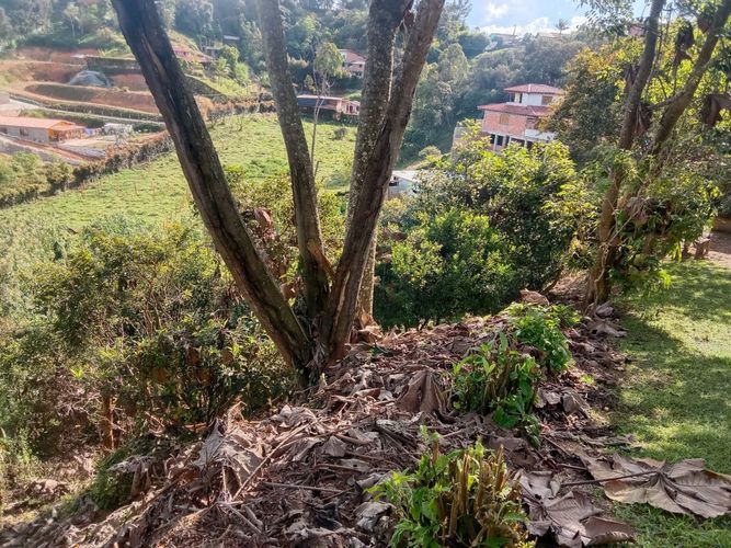 Finca en  Venta en La laja, Rionegro - Miniatura 13