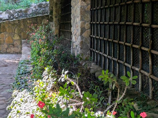 Finca en  Arriendo en Cuervos, San rafael - Miniatura 13