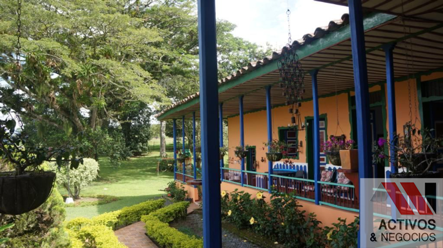 Casa Campestre en arriendo en Comuna 10 quimbaya, Quimbaya - Miniatura 6
