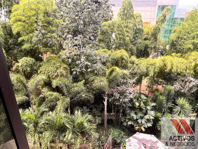 Oficina en  Arriendo en El Poblado, Medellín - Miniatura 6