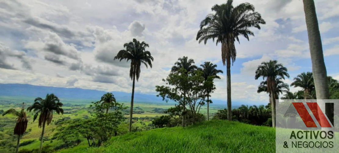 Finca en  Venta en Cruces, Cali - Miniatura 3