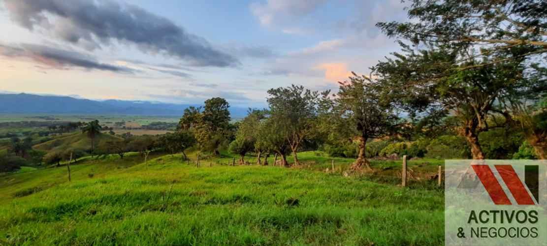 Finca en  Venta en Cruces, Cali - Miniatura 4